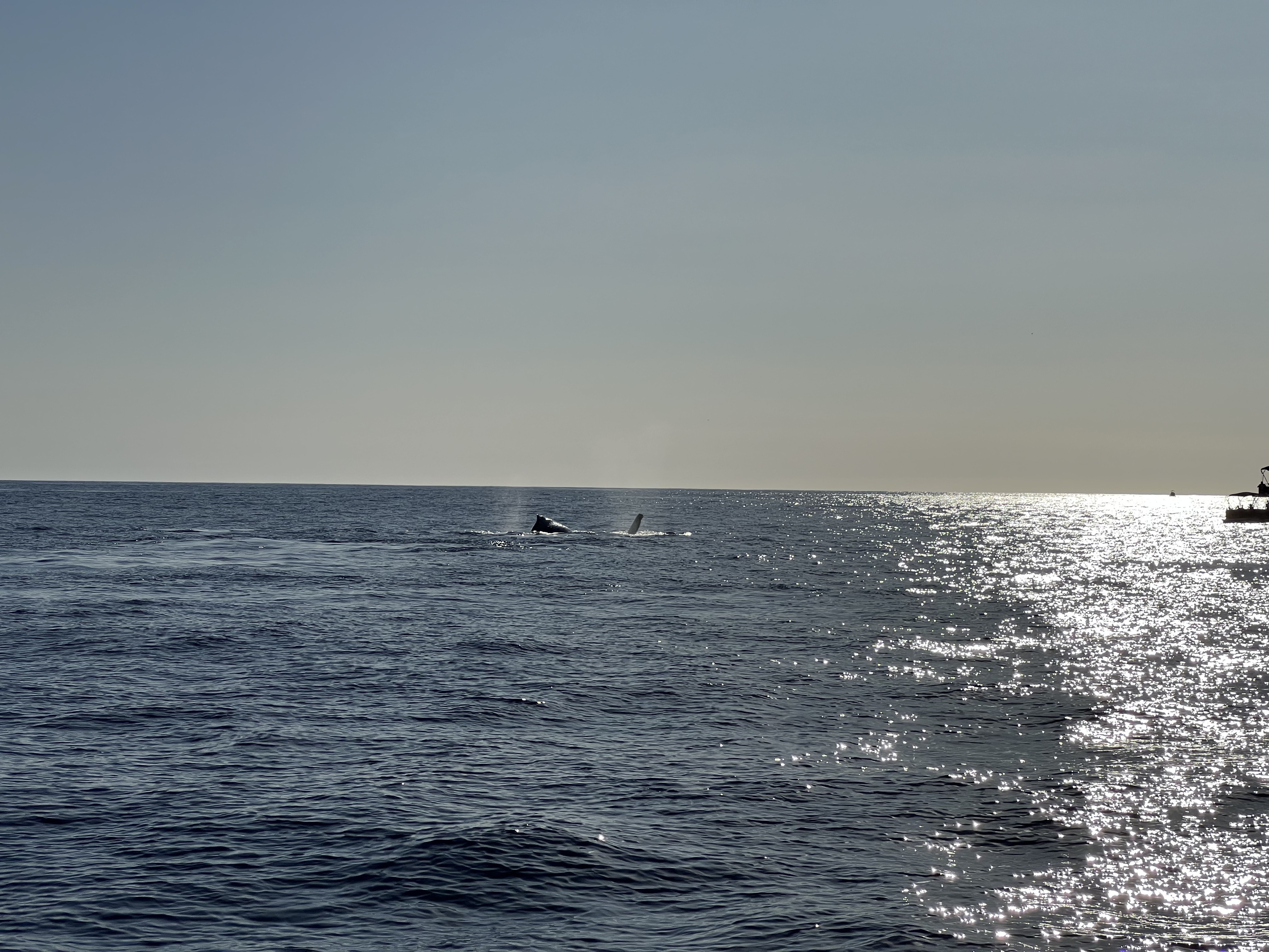 ./2024/13 - Cabo/IMG_4694.jpg